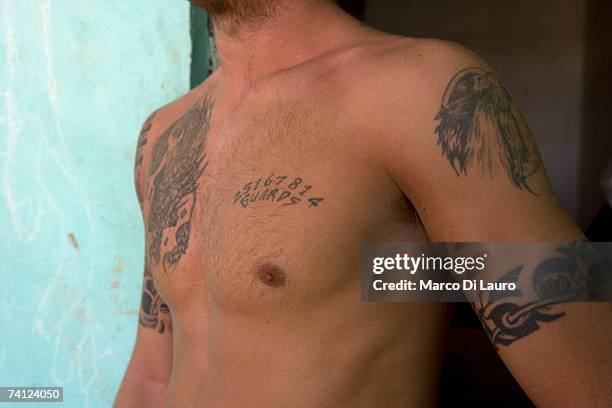 Daniel Probin Tatooed Photos and Premium High Res Pictures - Getty Images