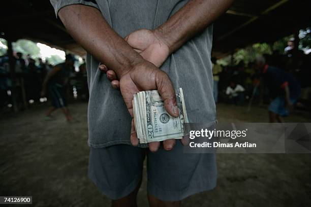 Bookmaker holds peoples' betting money as East Timorese people watch a cockfighting contest - a popular spectacle in East Timor - two days after the...