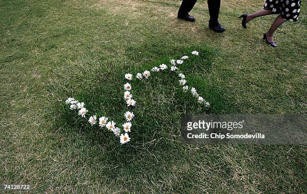 Daisies forming the letters V and T, standing for Virginia Tech, rest in the grass as part of a large makeshift memorial on the Drillfield in front...