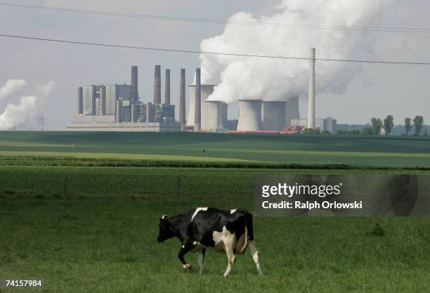 Exhaust rises from cooling towers at the Neurath lignit coal-fired power station May 15, 2007 at Grevenbroich near Aachen, Germany. The four German...