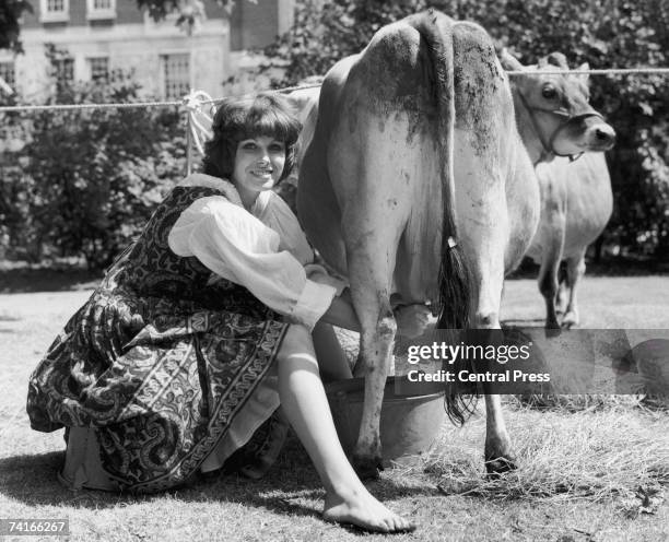 English actress Joanna Lumley milks a cow during the opening of the Midsummer Fair in London's St James' Square, 24th June 1975.