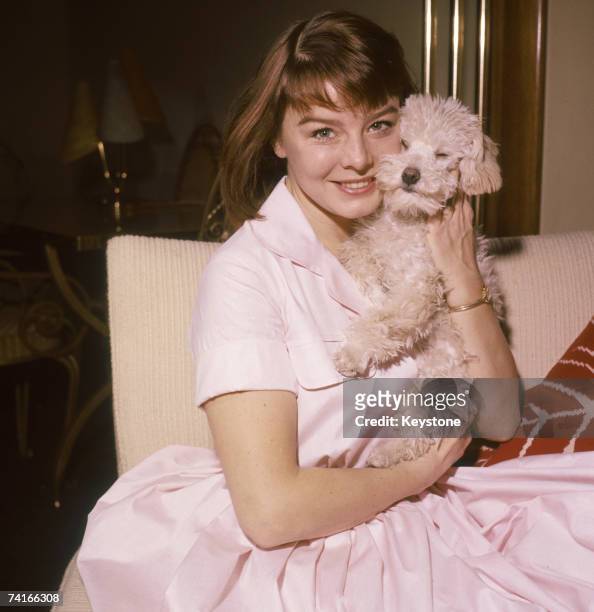 English actress Janet Munro with a pet dog, circa 1960.