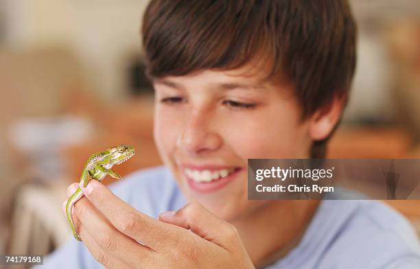 lagarto sorridente menino segurar - lagarto imagens e fotografias de stock