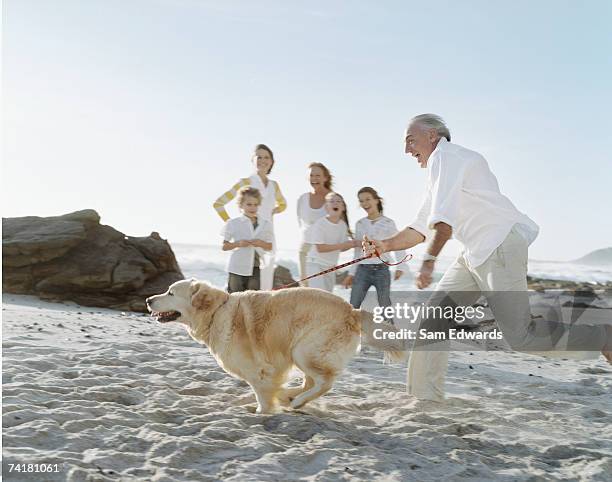 grandfather on beach with dog and family laughing - multi generational family with pet stock pictures, royalty-free photos & images