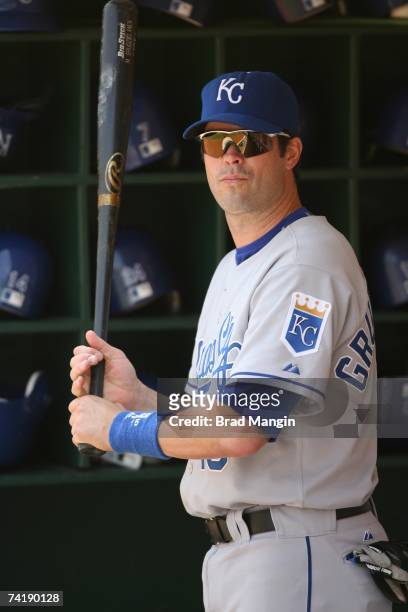 Mark Grudzielanek of the Kansas City Royals gets ready in the dugout before the game against the Oakland Athletics at the McAfee Coliseum in Oakland,...