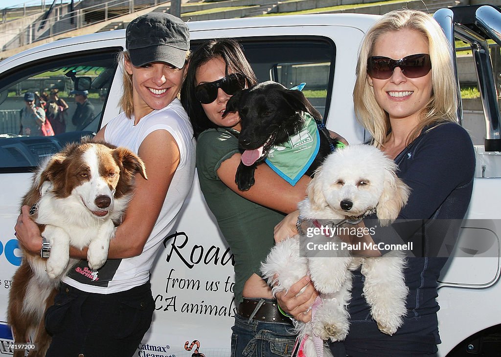 Celebrities Take Part In The RSPCA Million Paws Walk