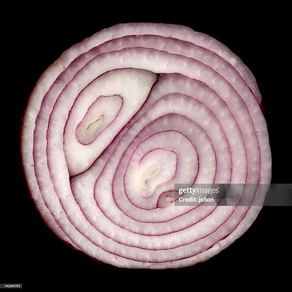 Slice of red onion (Allium cepa), studio shot