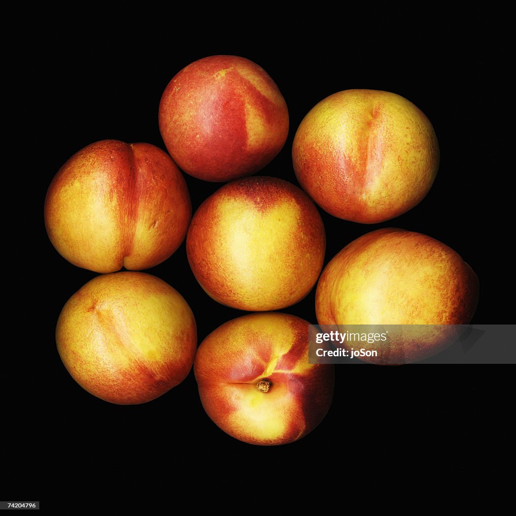 Nectarines (Prunus persica), studio shot