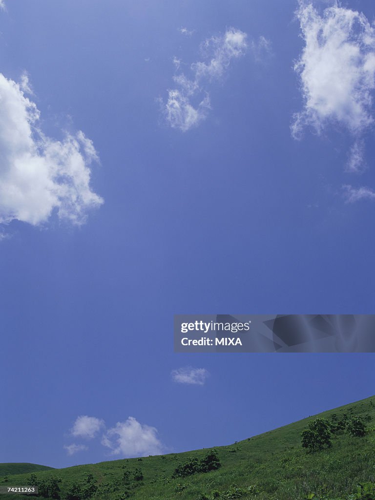 Green field and blue sky