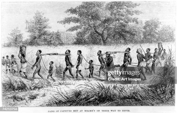 Gang of Captives Met at Mbame's on their way to Tette, engraved by Josiah Wood Whymper