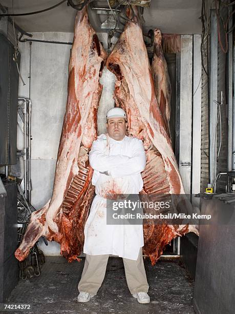 butcher standing with hanging carcass - butcher portrait stock pictures, royalty-free photos & images