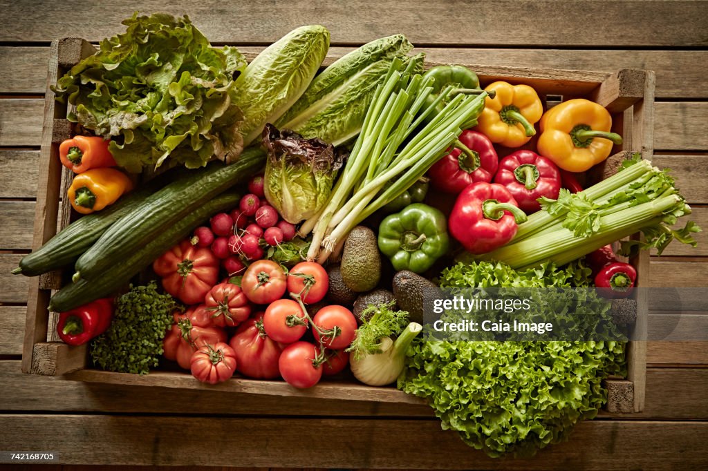 Still life fresh, organic, healthy vegetable harvest variety in wood crate