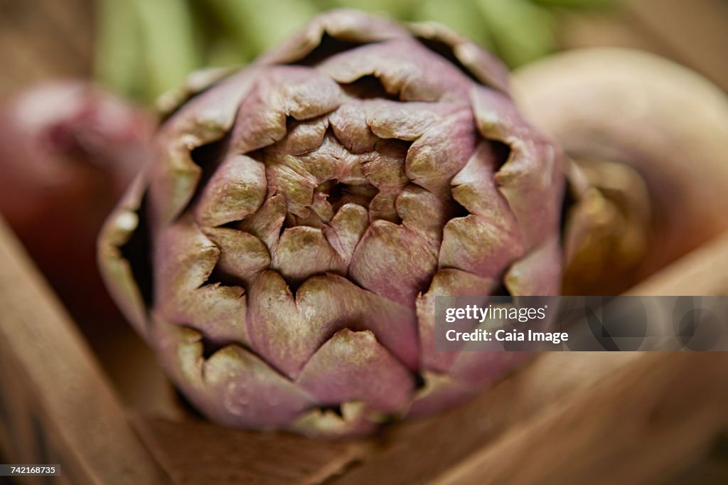 Still life close up fresh, organic healthy purple artichoke