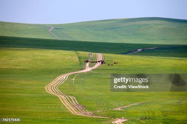 road on pastureland,inner mongolia - big bluestem grass stock pictures, royalty-free photos & images