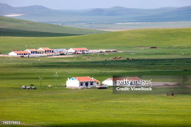 grassland scene, mongol houses. - big bluestem grass stock pictures, royalty-free photos & images
