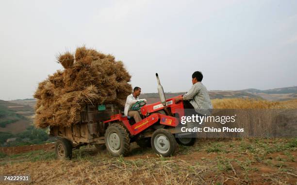 Farmer loads reaped wheat crop on a truck during the summer crop season May 21, 2007 in Xian of Shaanxi Province, China. China's Agricultural...