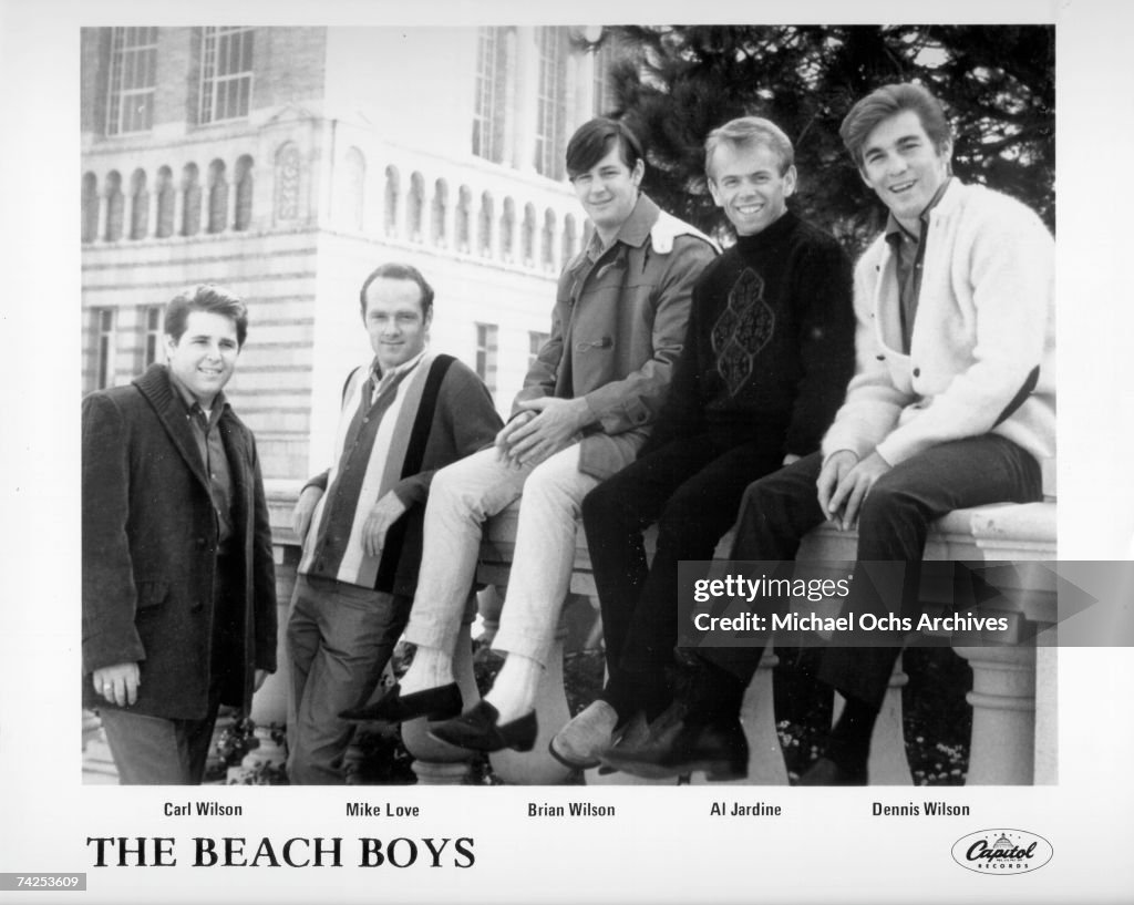 Beach Boys Portrait