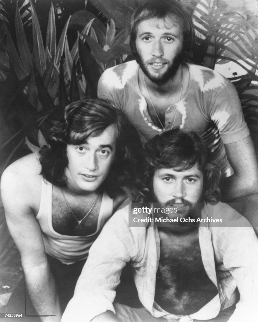 The Bee Gees