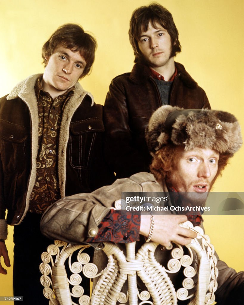 Cream Portrait