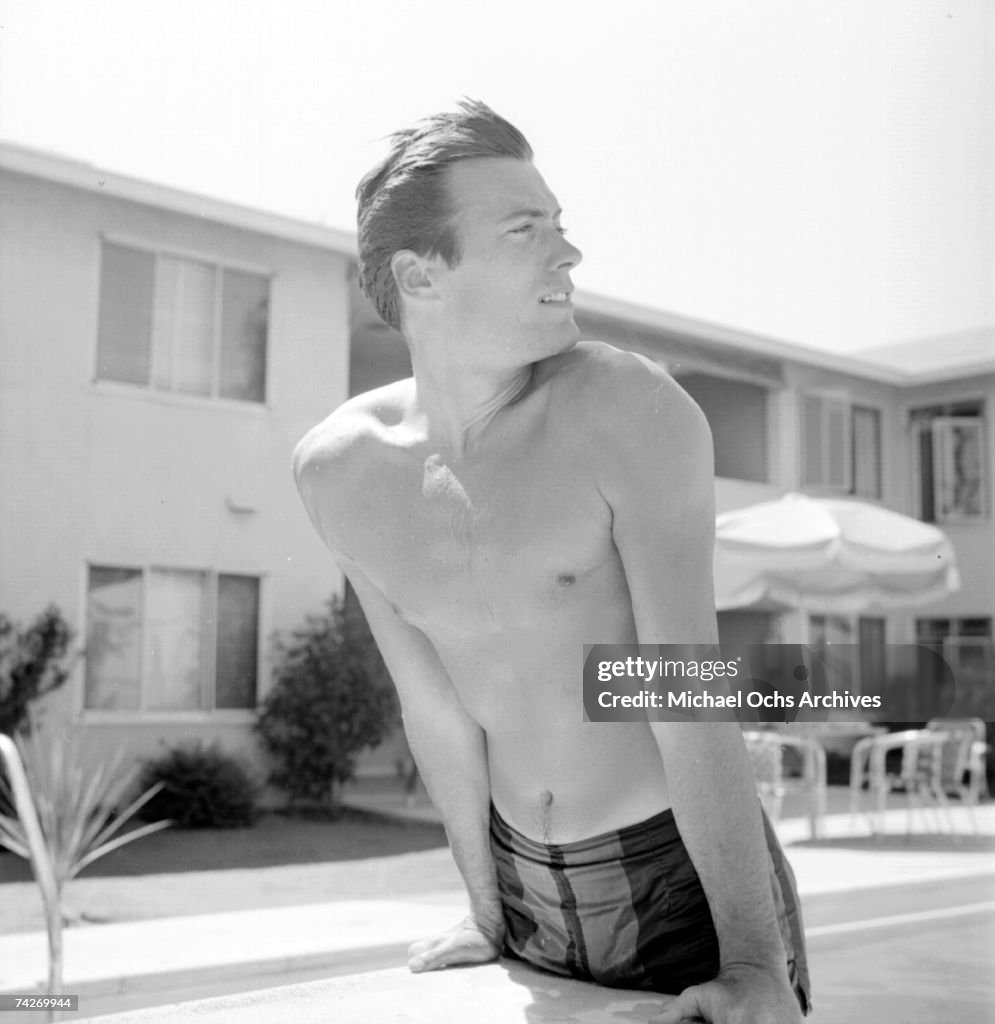 Diving Board