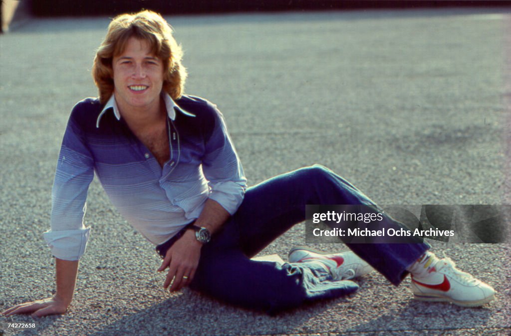 Photo of Andy Gibb