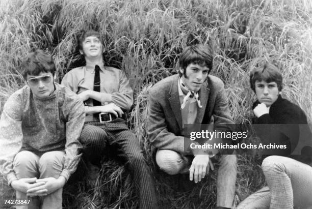 Photo of Grass Roots Photo by Michael Ochs Archives/Getty Images