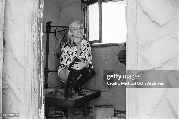 Swj Singer Singer Debbie Harry of the New Wave pop group Blondie, Los Angeles ...