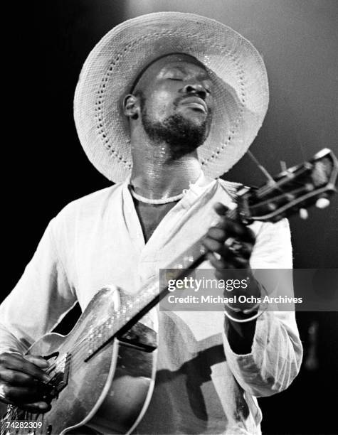 Photo of Mahal Taj Photo by Michael Ochs Archives/Getty Images