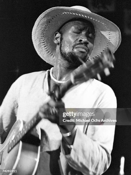 Photo of Mahal Taj Photo by Michael Ochs Archives/Getty Images