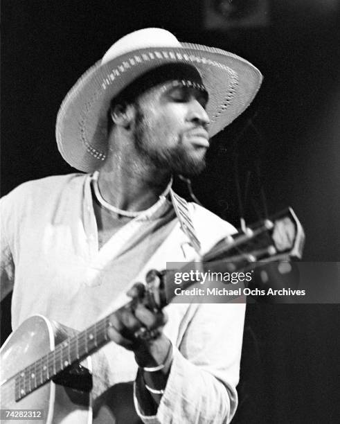 Photo of Mahal Taj Photo by Michael Ochs Archives/Getty Images