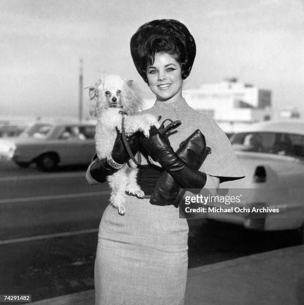 Rock and roll singer Elvis Presley's wife, Priscilla Beaulieu Presley, with her dog, Honey, at Memphis International airport, Memphis, Tennessee,...