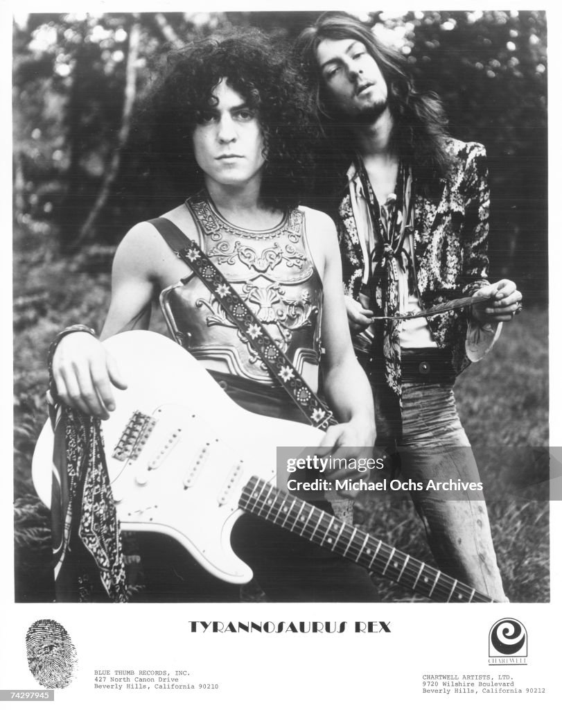 Photo of T. Rex
