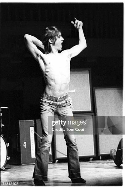 Photo of Iggy Pop Photo by Tom Copi/Michael Ochs Archives/Getty Images