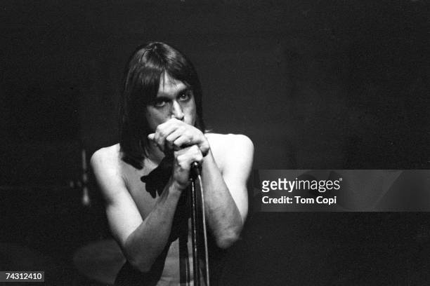 Photo of Iggy Pop Photo by Tom Copi/Michael Ochs Archives/Getty Images