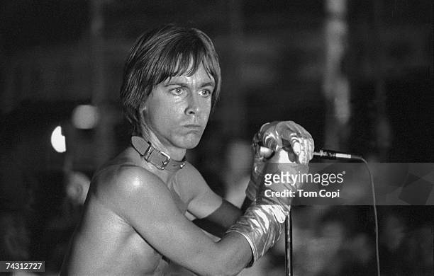 Iggy Pop wearing a dog collar on stage with The Stooges at the Cincinnati Pop Festival at Crosley Field, Cincinnati, Ohio, 13th June 1970.
