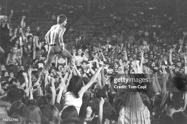 Iggy Pop of the Stooges rides the crowd during a performance at the Cincinnati Pop Festival at Crosley Field, Cincinnati, Ohio, 13th June 1970.