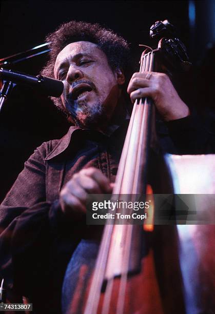 Jazz bassist Charlie Mingus performs in 1977 in San Francisco, California.