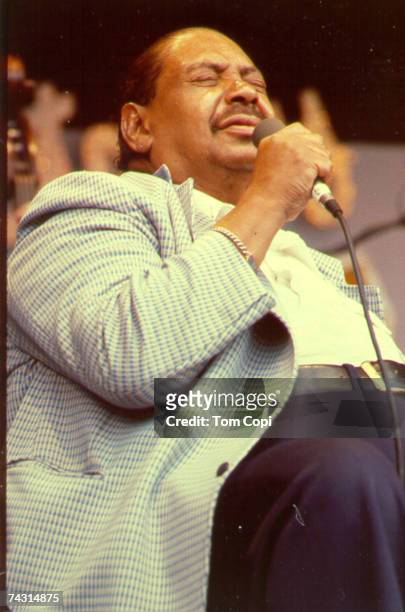 Photo of Big Joe Turner Photo by Tom Copi/Michael Ochs Archives/Getty Images