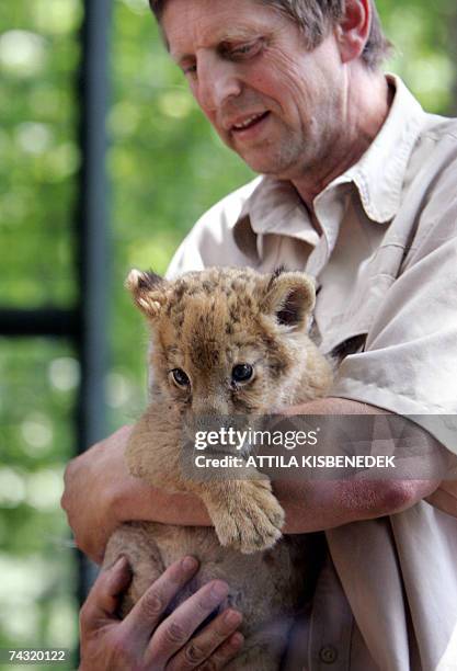 Zoo medical attendant, Peter Huszak, holds a six-and-a-half-week-old lion cub as it is shown to the media at the Budapest Zoo and Botanic Garden, 25...