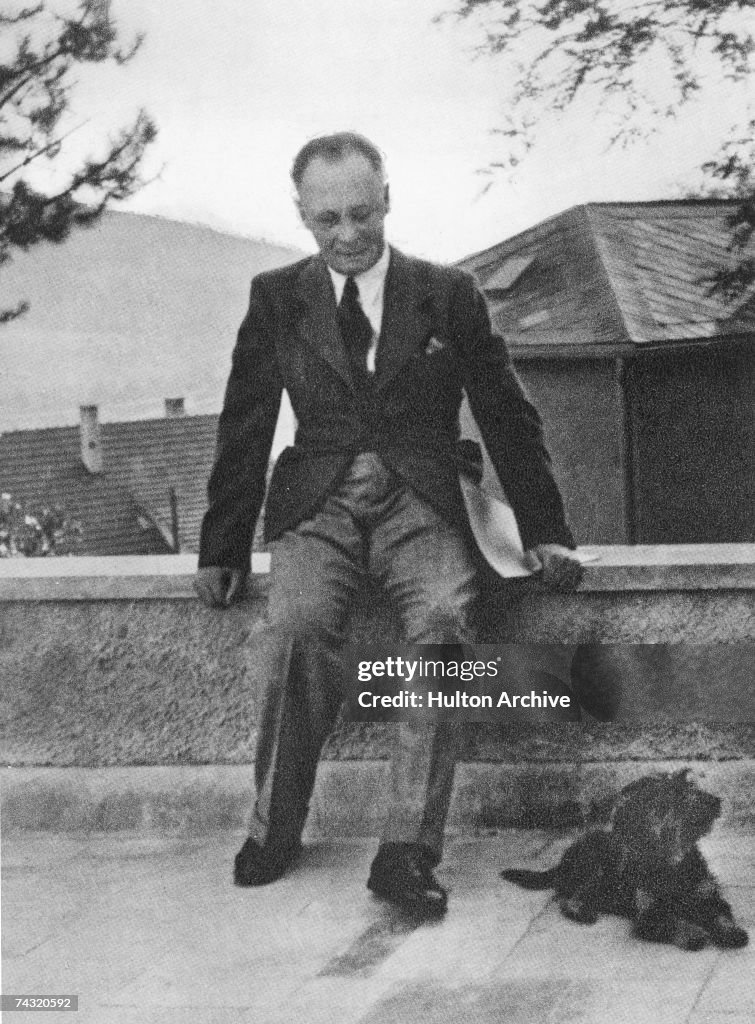 German military commander Erwin Rommel a few days before his suicide ...