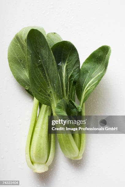 pak choi with drops of water - pak choï miniature photos et images de collection