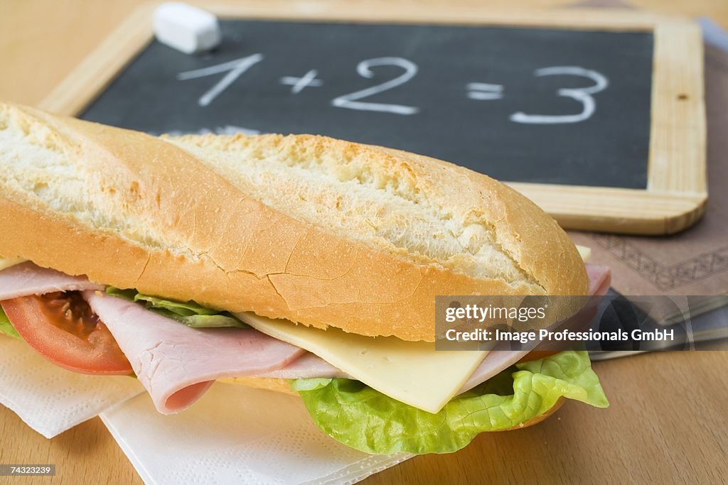 A ham and cheese sandwich for school