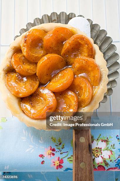 apricot tart on baking tin - blechkuchen stock-fotos und bilder