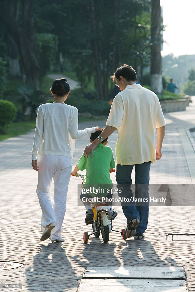 Parents walking next to son on bicycle with training wheels, rear view