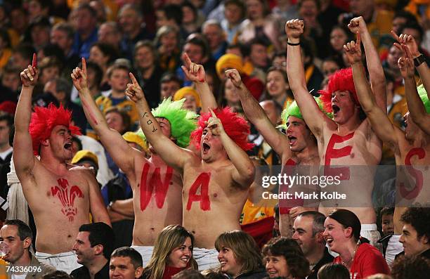 Welsh supporters in the crowd celebrate during the First Test between Australian Wallabies and Wales at Telstra Stadium May 26, 2007 in Sydney,...