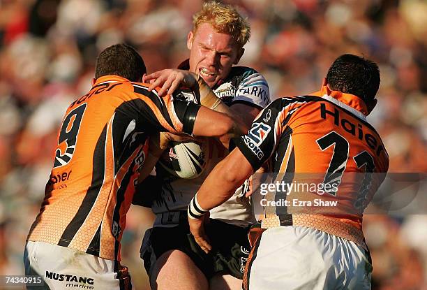 Peter Wallace of the Panthers is tackled by Robbie Farah and Ben Galea of the Tigers during the round 11 NRL match between the Penrith Panthers and...