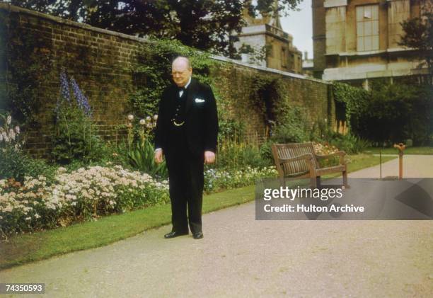 British Prime Minister Sir Winston Churchill in the garden at 10 Downing Street, London, circa 1943.