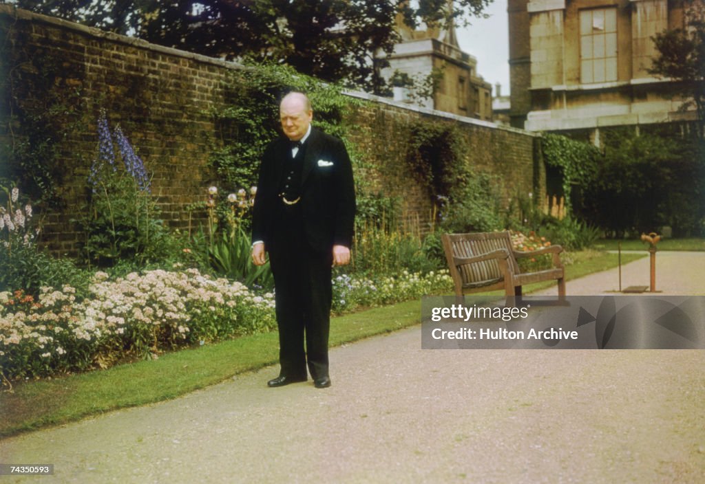 Churchill In Garden