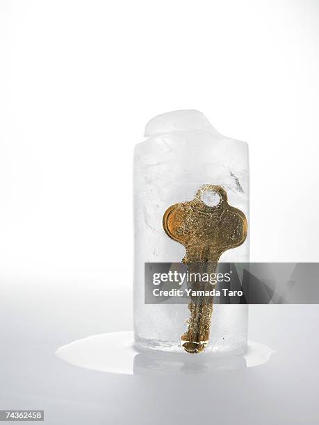 Ice Rink Keys 55,868 Inside Ice Stock Photos, High-Res Pictures, and Images - Getty ...