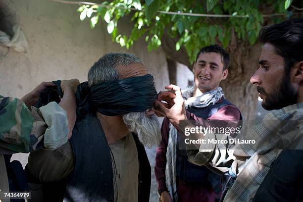 An allegedly suspected Taliban, later released as found innocent, arrested by ANA Soldiers is seen blind folded during "Lastay Kulang" Operation" on...